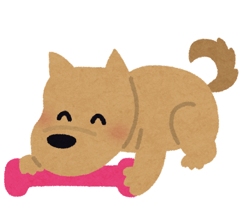 おもちゃで遊ぶ犬
