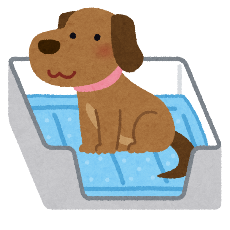 トイレにいる犬