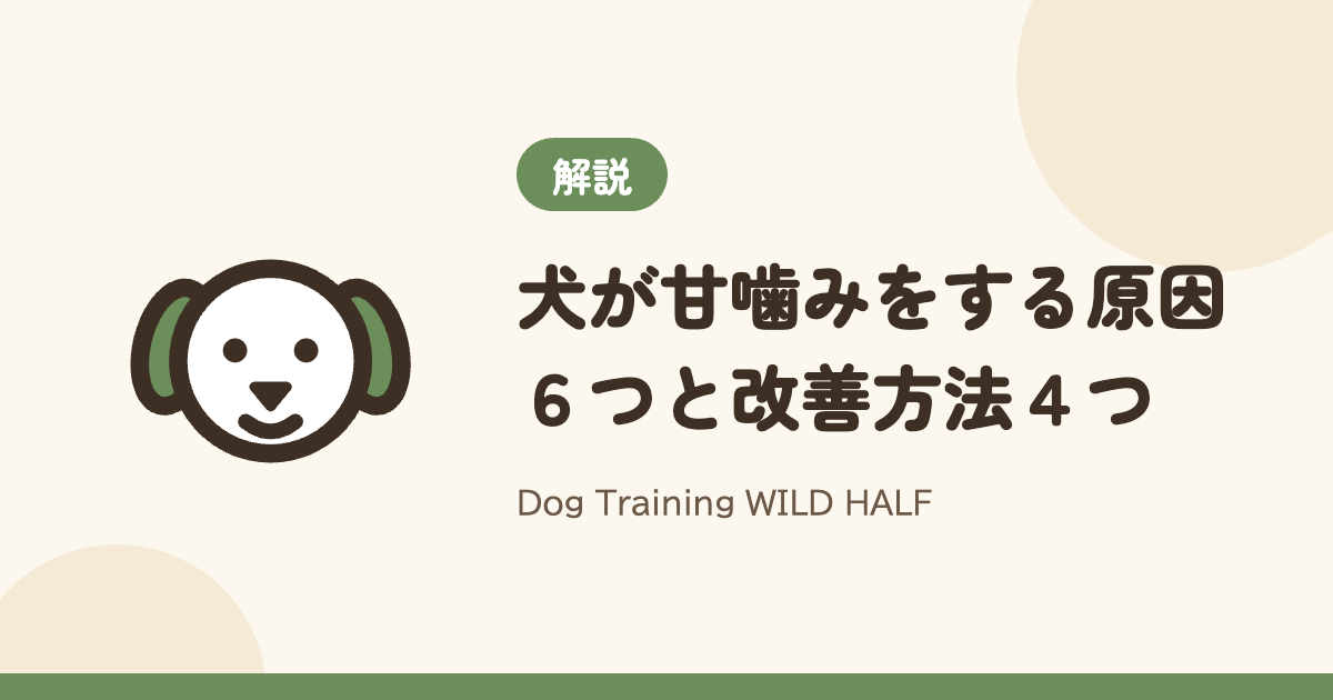 【噛む】犬が甘噛みをする原因６つと改善方法４つ