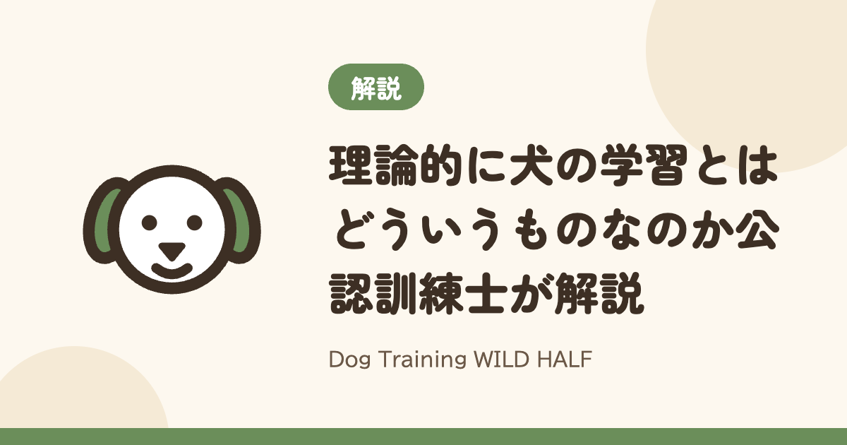 【犬の学習】理論的に犬の学習とはどういうものなのか公認訓練士が解説