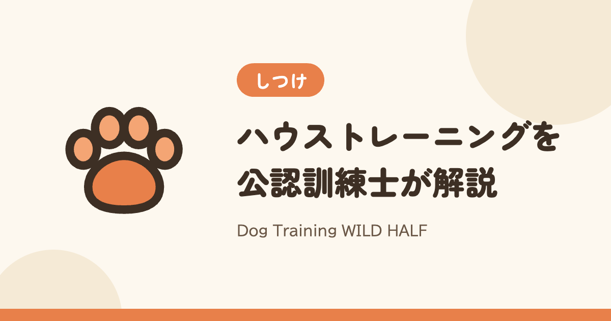 【具体的７ステップ】ハウストレーニングを公認訓練士が解説