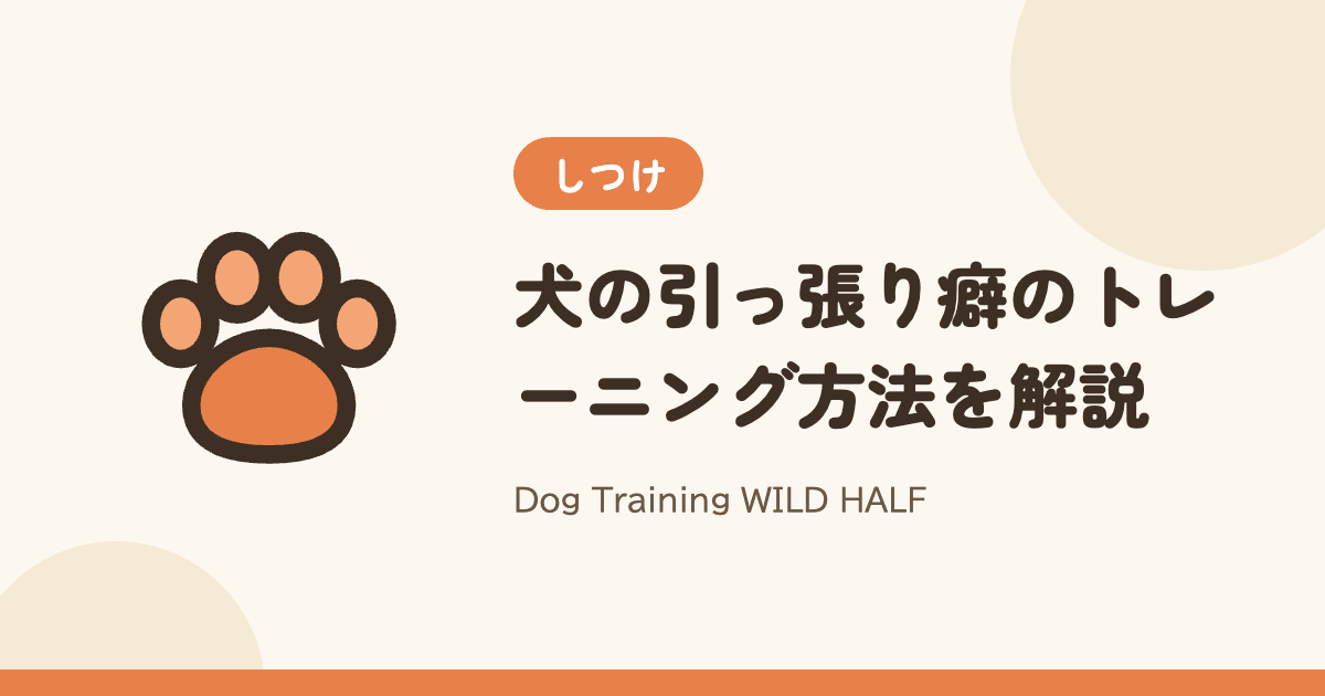 【引っ張る】犬の引っ張り癖のトレーニング方法を解説