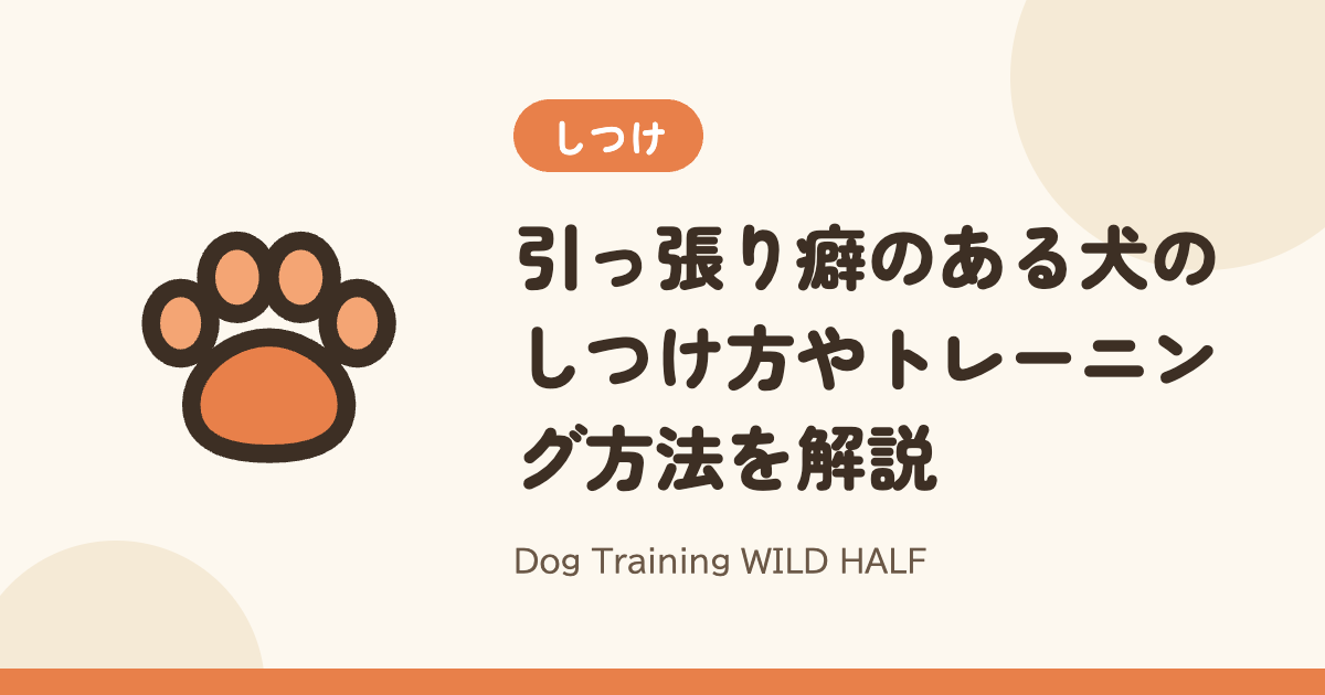 【引っ張る】引っ張り癖のある犬のしつけ方やトレーニング方法を解説