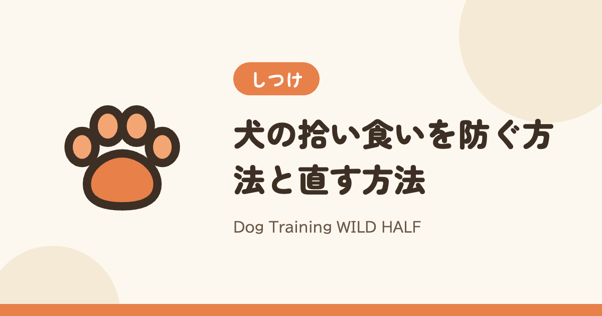 【拾い食い】犬の拾い食いを防ぐ方法と直す方法