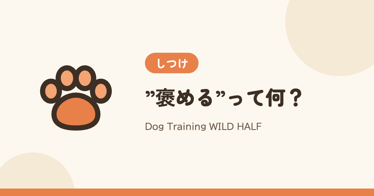 ”褒める”って何？