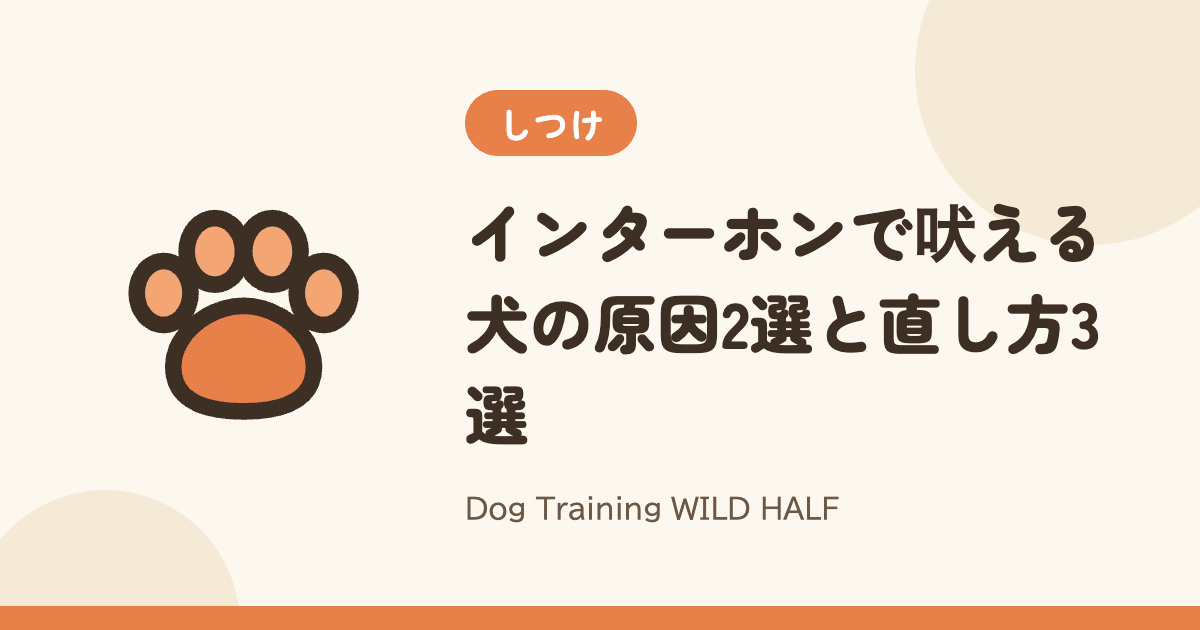 【吠える】インターホンで吠える犬の原因2選と直し方3選