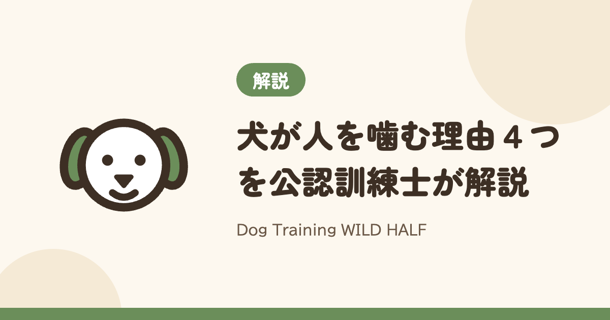 【噛む】犬が人を噛む理由４つを公認訓練士が解説