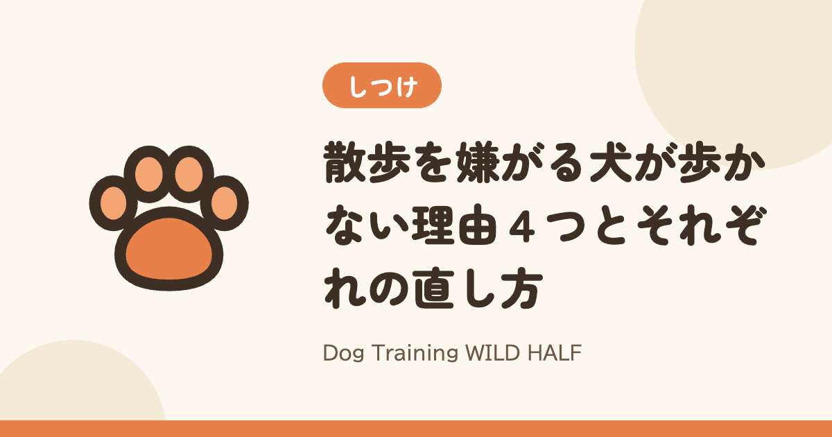 【散歩】散歩を嫌がる犬が歩かない理由４つとそれぞれの直し方