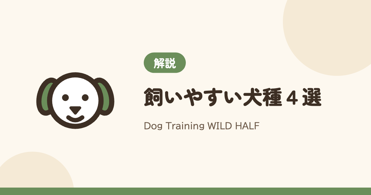 【公認訓練士おすすめ】飼いやすい犬種４選