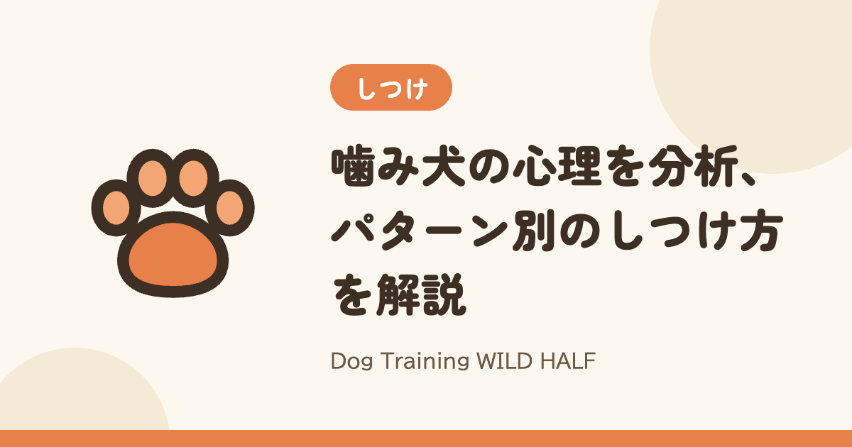 【噛む】噛み犬の心理を分析、パターン別のしつけ方を解説