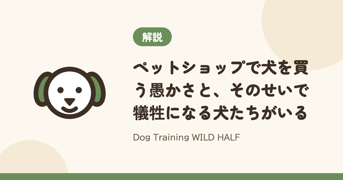 【悲惨】ペットショップで犬を買う愚かさと、そのせいで犠牲になる犬たちがいる