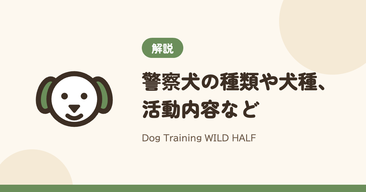 警察犬の種類や犬種、活動内容など