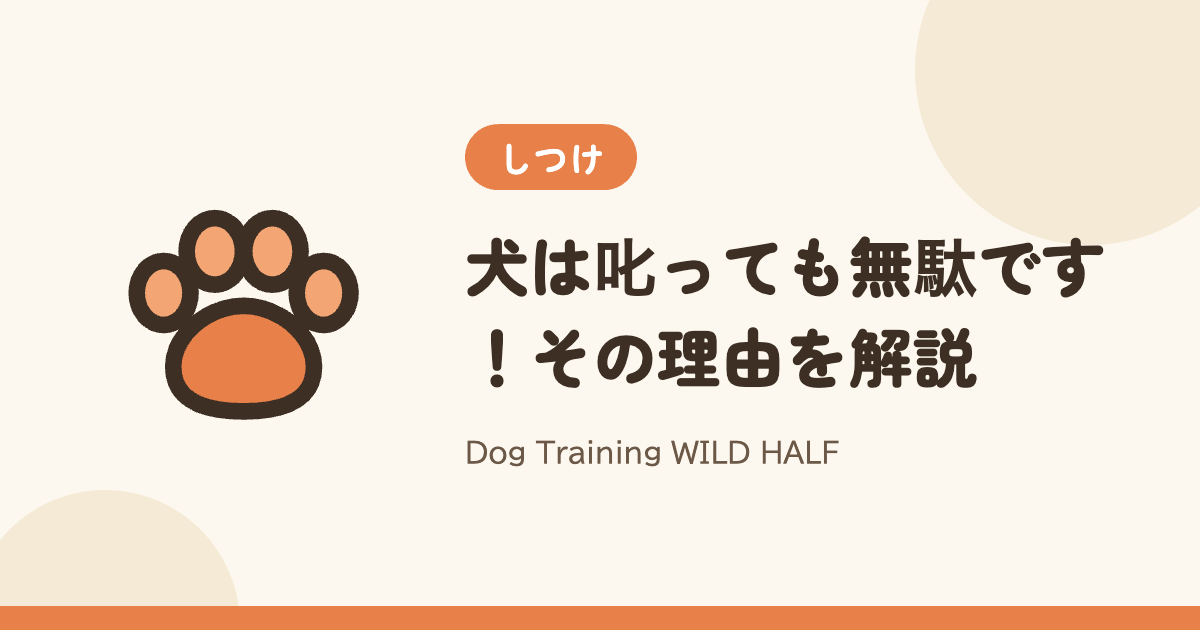 【全飼い主必見】犬は叱っても無駄です！その理由を解説