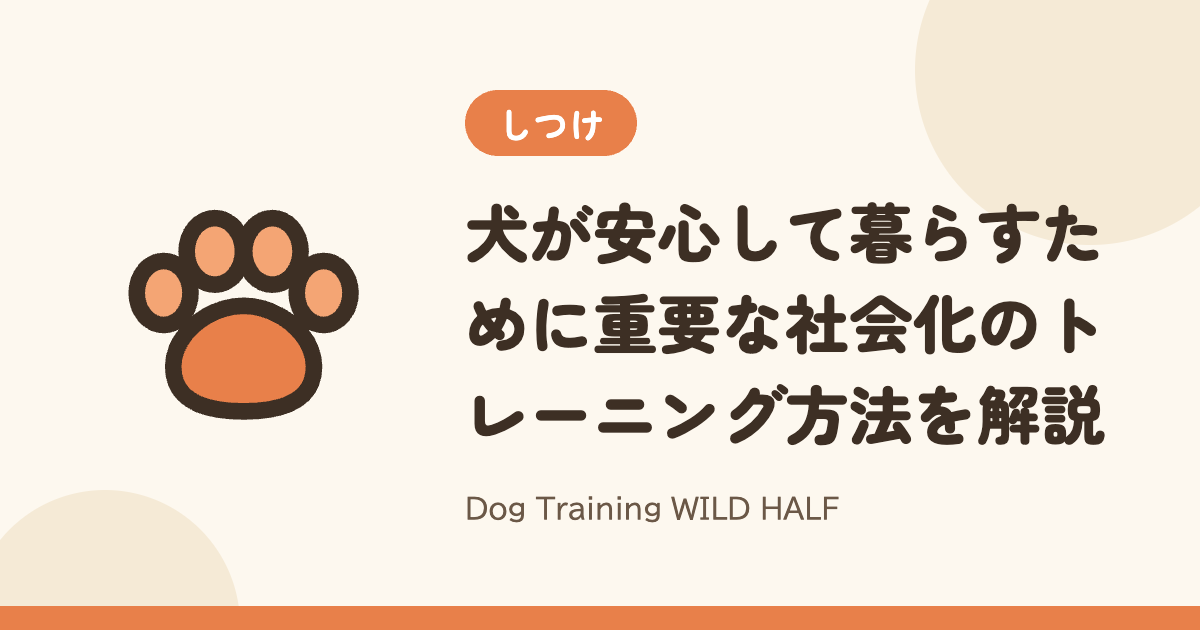 【社会化】犬が安心して暮らすために重要な社会化のトレーニング方法を解説