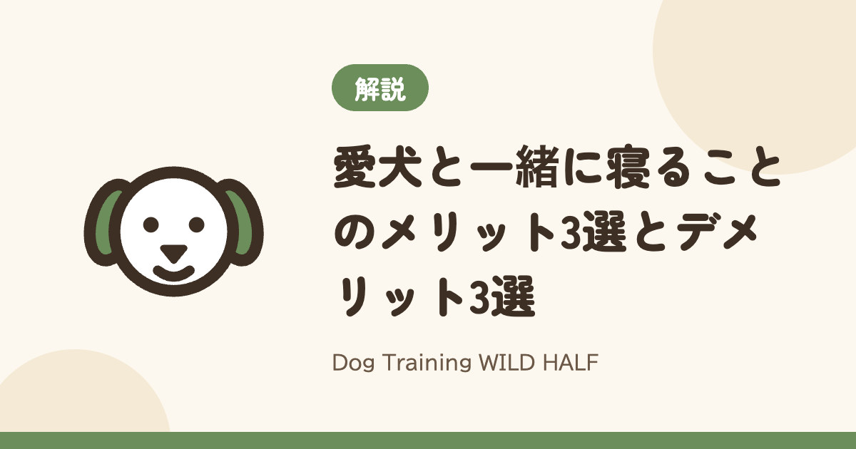 【ハウス】愛犬と一緒に寝ることのメリット3選とデメリット3選