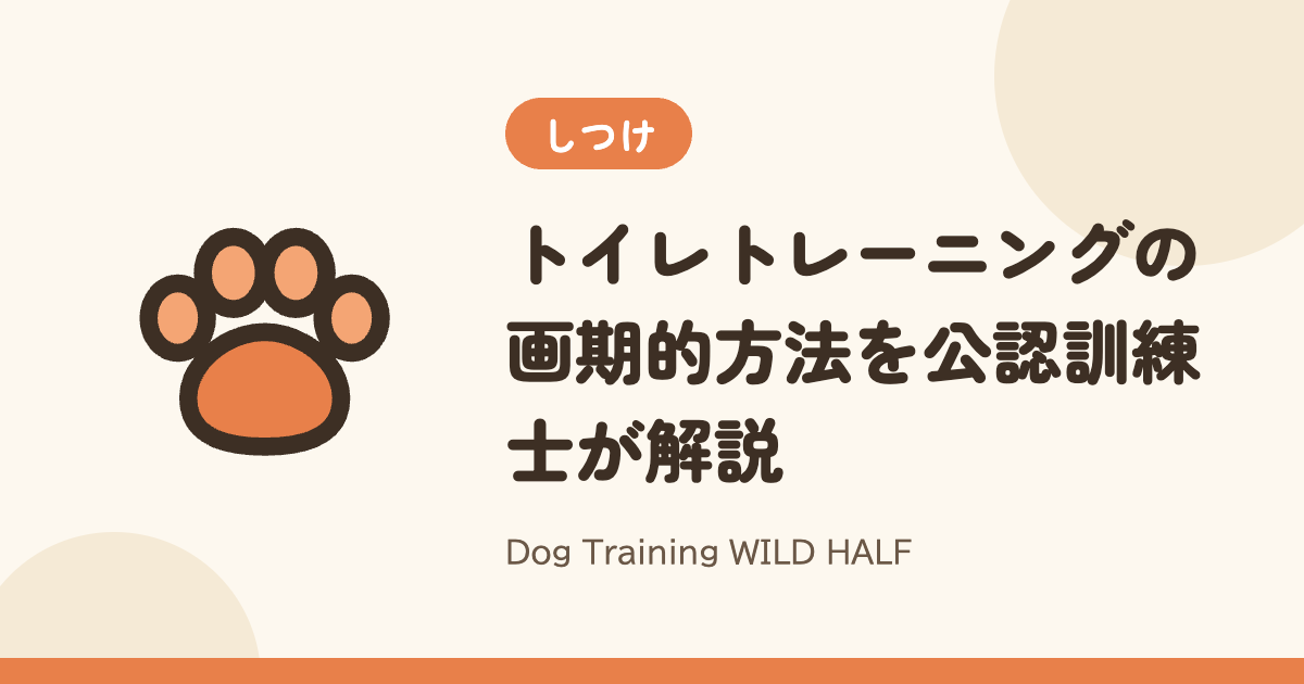 【トイレ】トイレトレーニングの画期的方法を公認訓練士が解説
