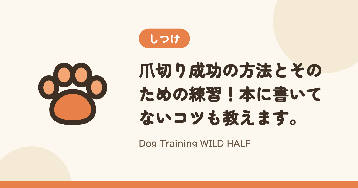 【爪切り】爪切り成功の方法とそのための練習！本に書いてないコツも教えます。