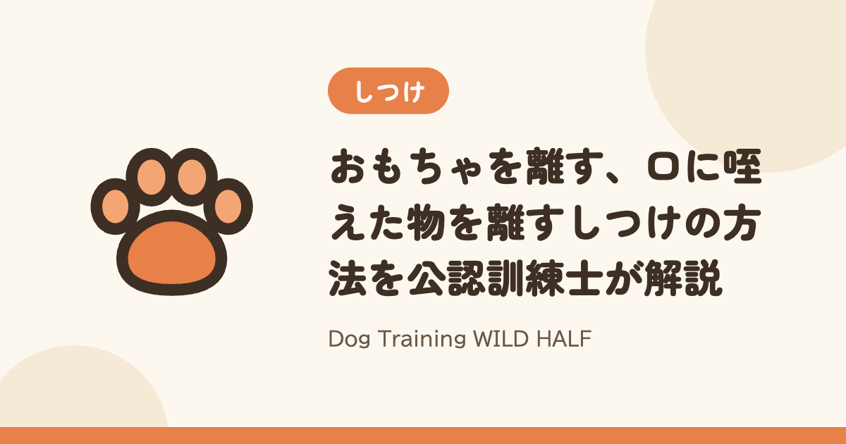 【やめ】おもちゃを離す、口に咥えた物を離すしつけの方法を公認訓練士が解説