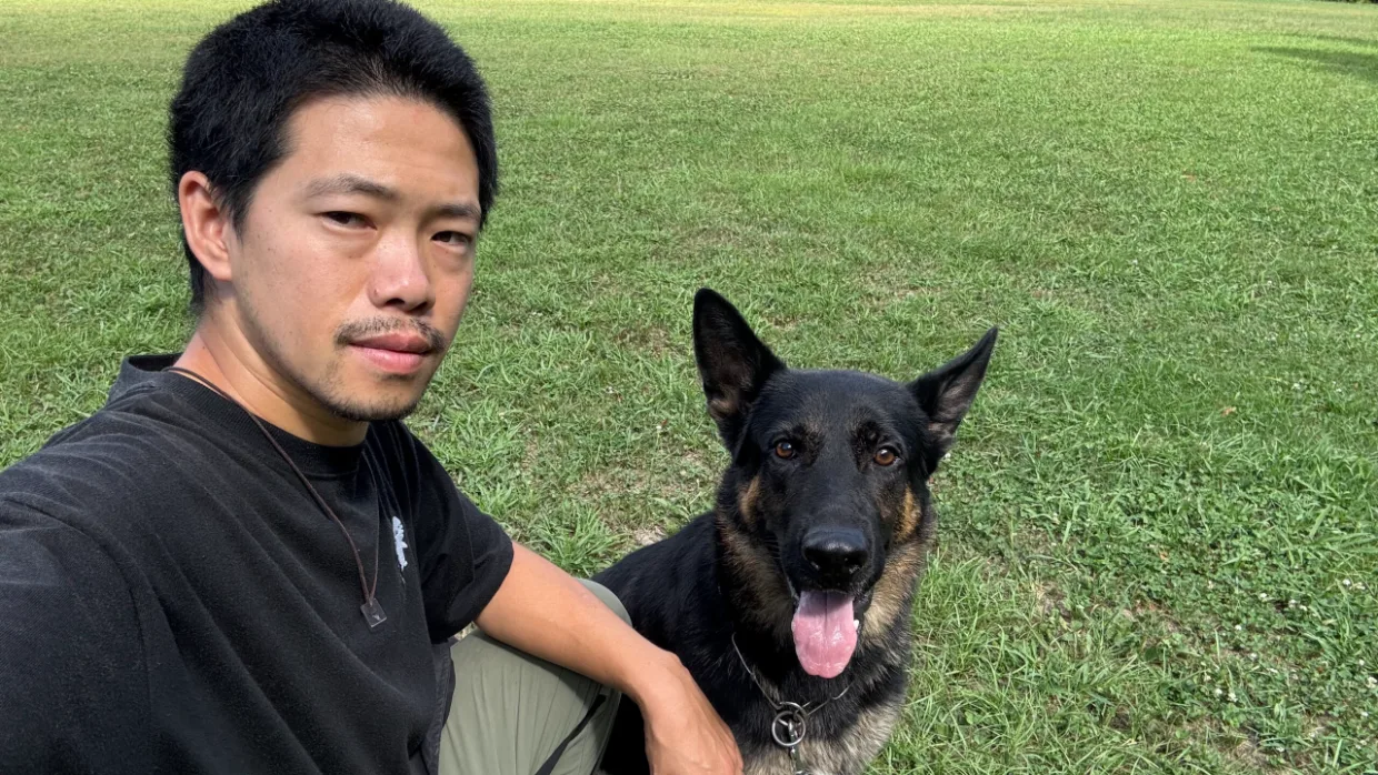 Dog Training WILD HALF