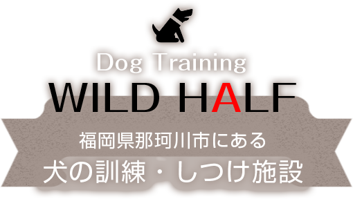 福岡県那珂川市にある犬の訓練・しつけ施設